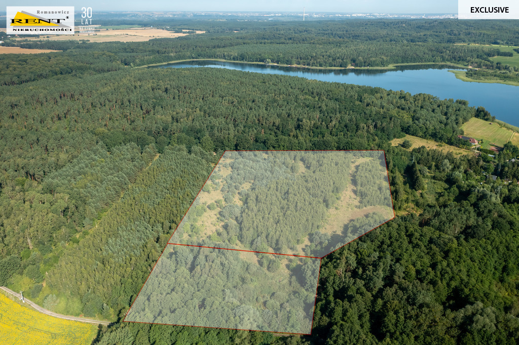 Działka wśród lasu blisko jeziora i pola golfowego (1)