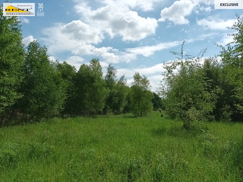 Działka wśród lasu blisko jeziora i pola golfowego (12)