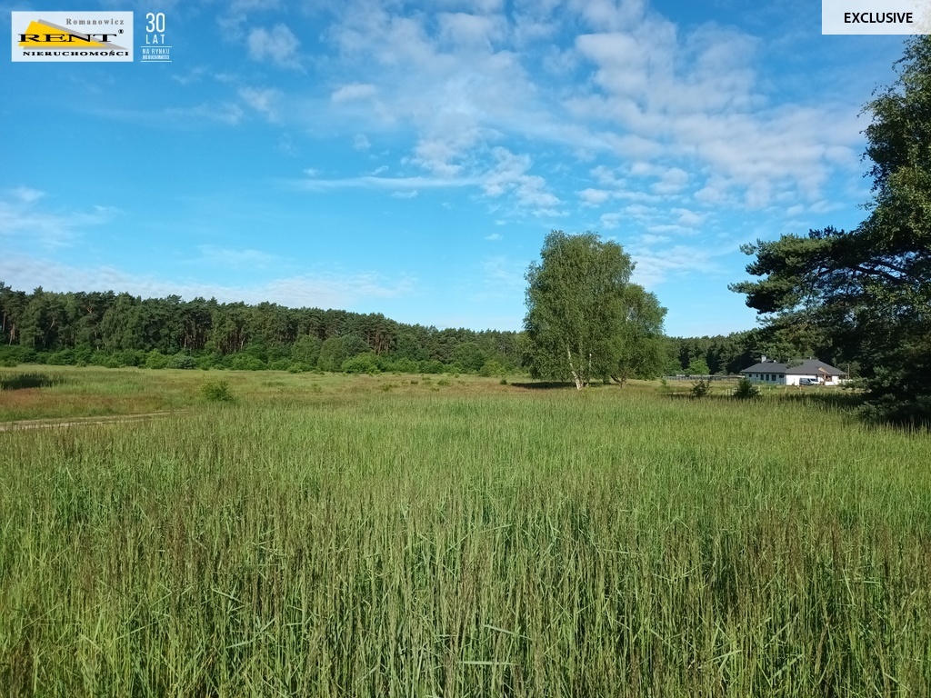 Działka budowlana przy lesie, MPZP, Wielgowo (2)