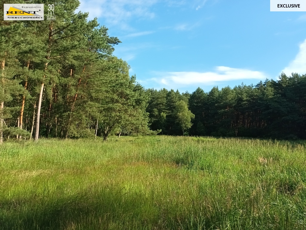 Działka budowlana przy lesie, MPZP, Wielgowo (3)