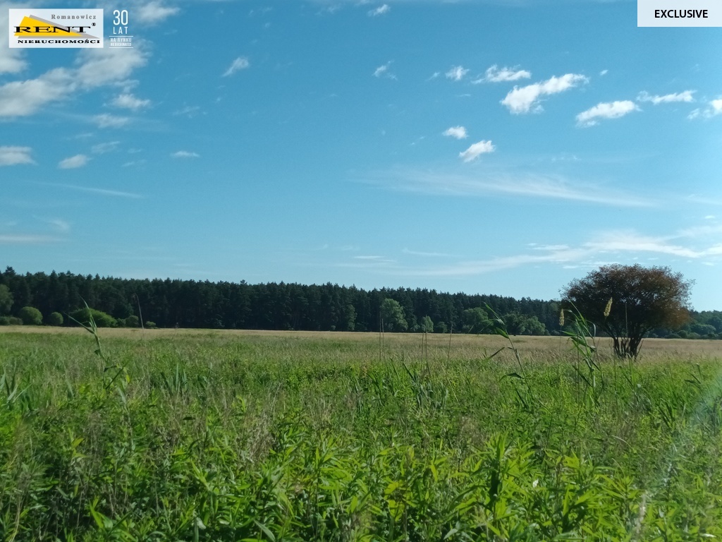 Działka z potencjałem w Wielgowie (4)