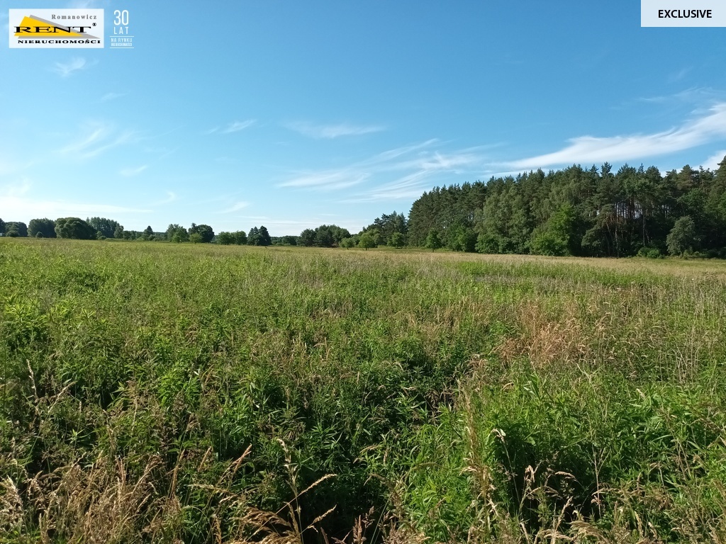 Działka z potencjałem w Wielgowie (1)