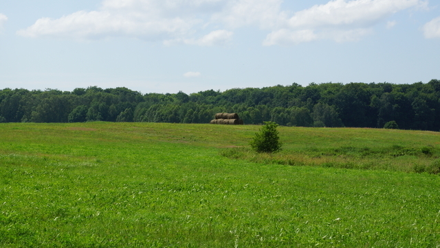 Działka 34.4977ha,m.Bobolice,las,oczko wodne,dr . (1)