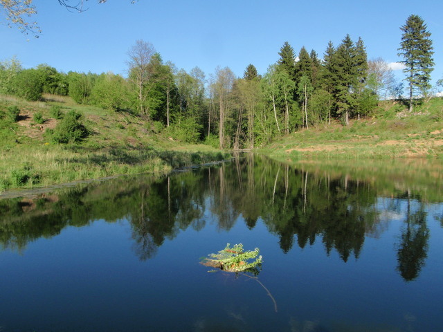 Działka 34.4977ha,m.Bobolice,las,oczko wodne,dr . (13)