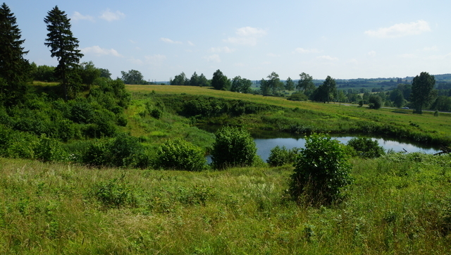 Działka 34.4977ha,m.Bobolice,las,oczko wodne,dr . (16)