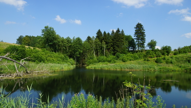 Działka 34.4977ha,m.Bobolice,las,oczko wodne,dr . (17)