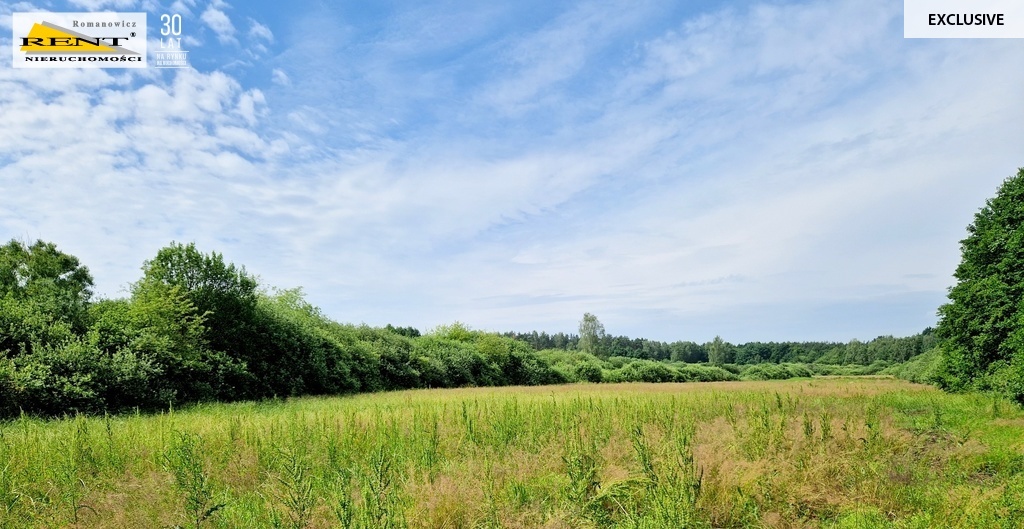 Działka usługowa w Kobylance (4)