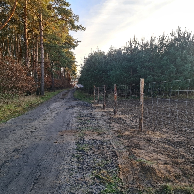 Dobra, działka budowlana 2055 m2 przy lesie. (2)