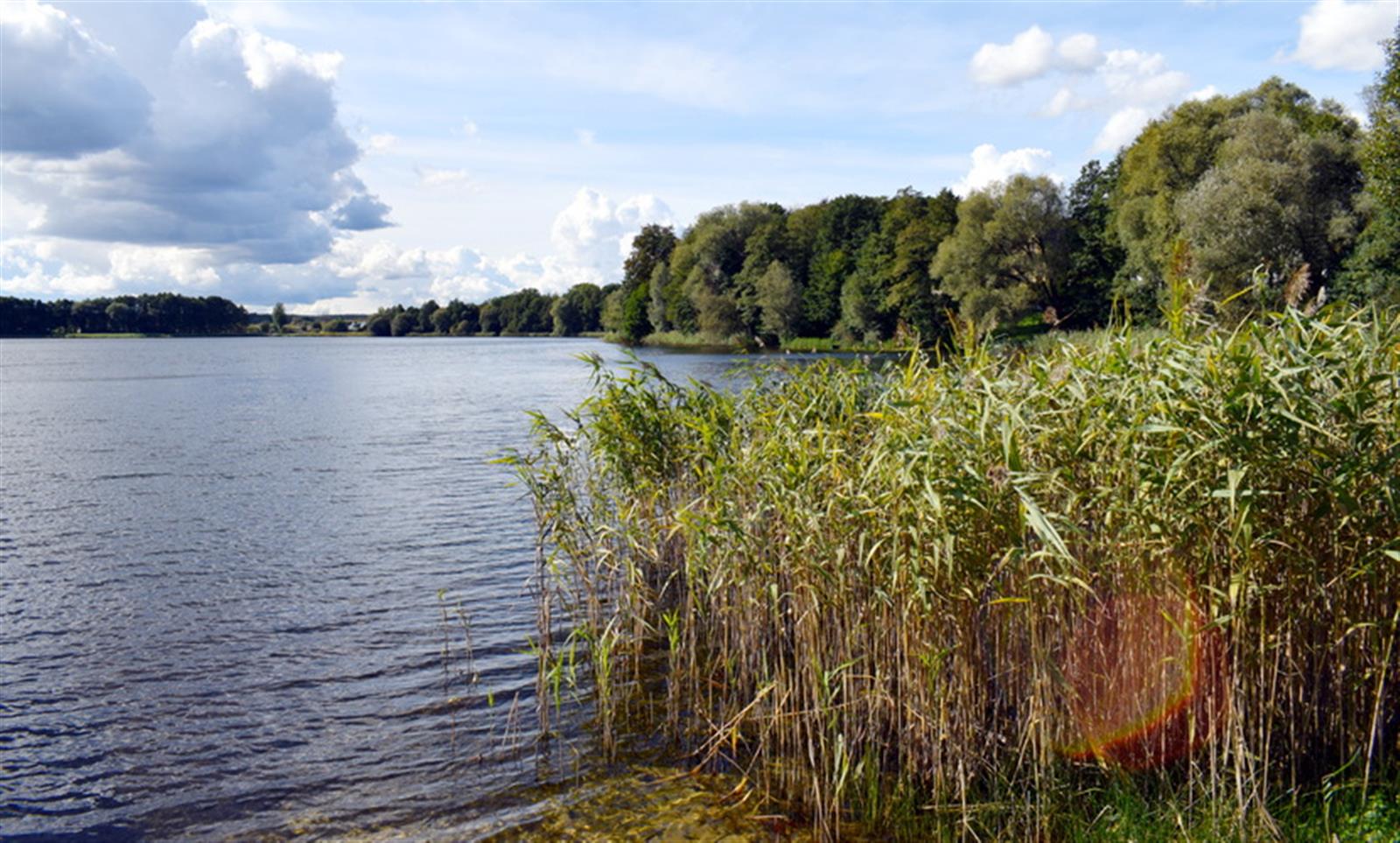 Działka budowlana - Drawsko Pomorskie  (8)