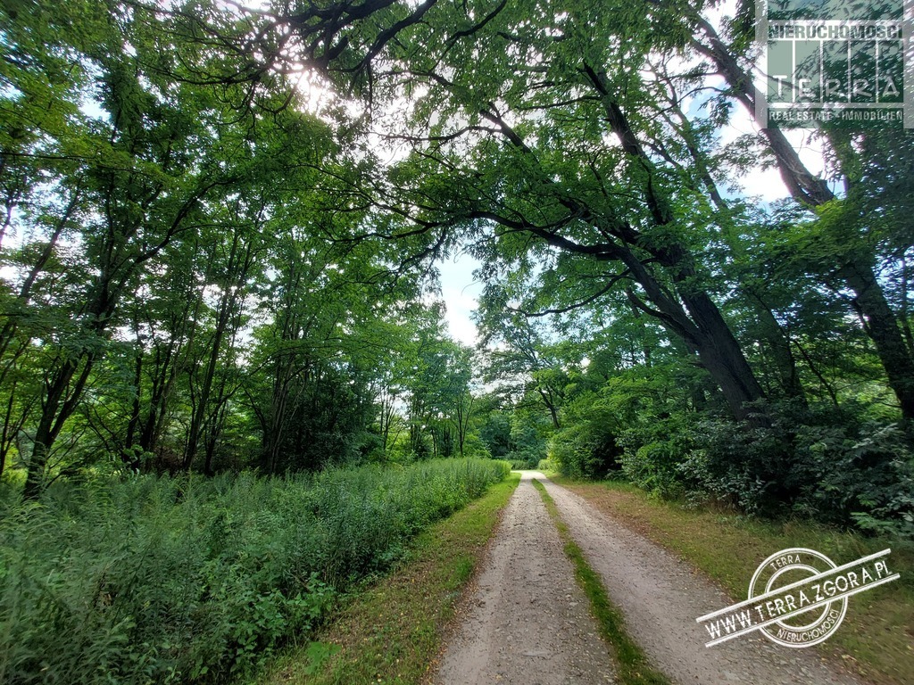 DROSZKÓW działka z planem zagospodarowania terenu (11)