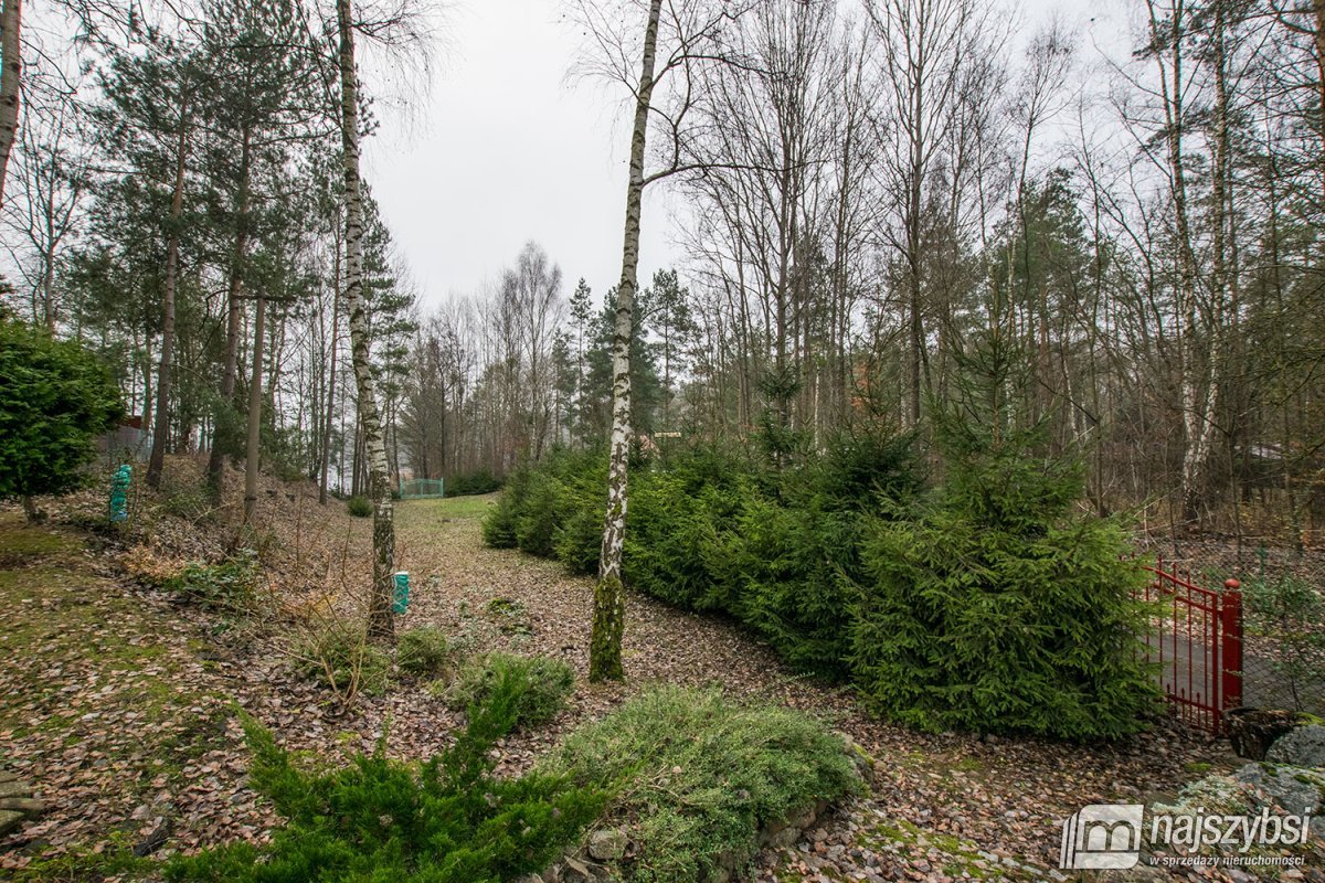 Przybiernów okolice - dom przy lesie i jeziorze (40)