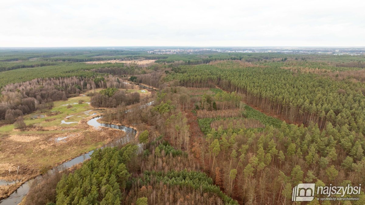 Goleniów- działka rolna 7,5 HA (3)