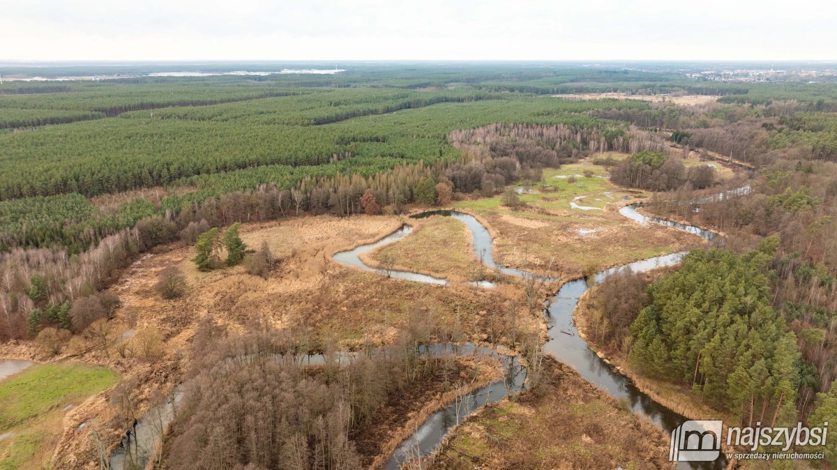 Goleniów- działka rolna 7,5 HA (4)