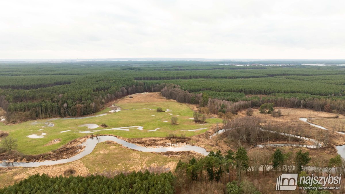 Goleniów- działka rolna 7,5 HA (6)