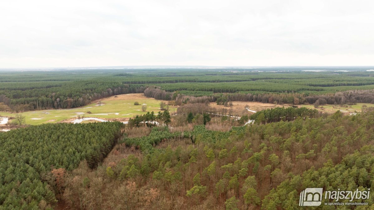 Goleniów- działka rolna 7,5 HA (7)