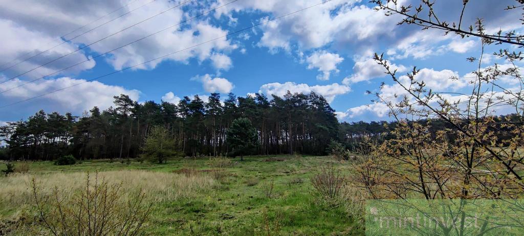 Działka pod zabudowę z Warunkami zabudowy (5)