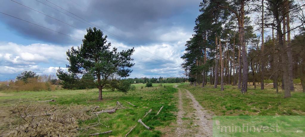 Działka pod zabudowę z Warunkami zabudowy (7)