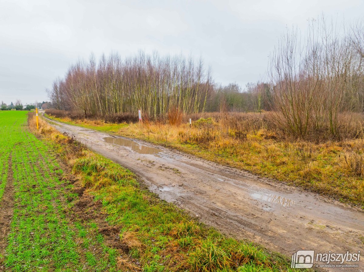 Goleniów- Działka inwestycyjna. Hale, Magazyny 2,3 (6)