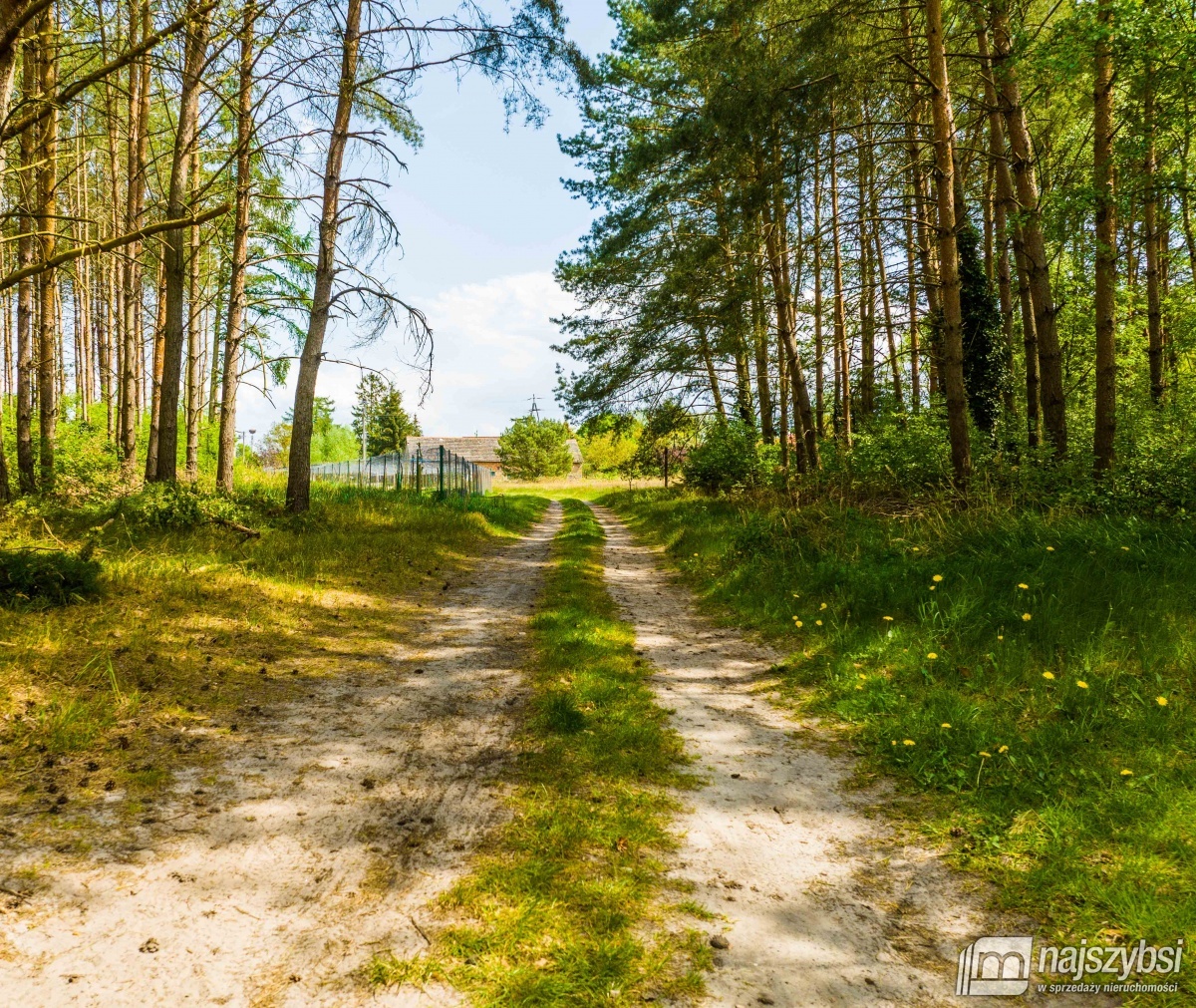 Działka 0,7637 ha blisko jeziora. Przybiernów  (13)