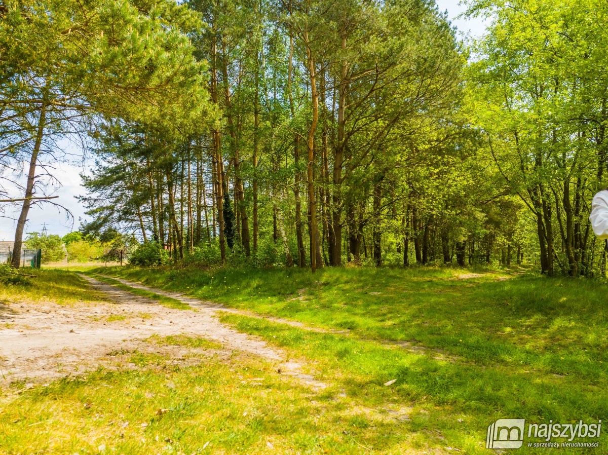 Działka 0,7637 ha blisko jeziora. Przybiernów  (9)