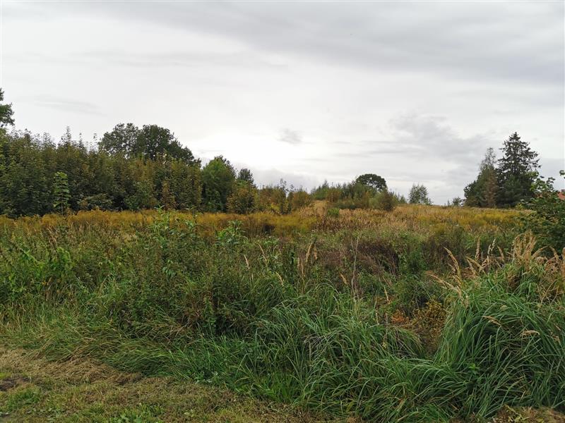 Działka budowlana - Stare Bielice  (9)