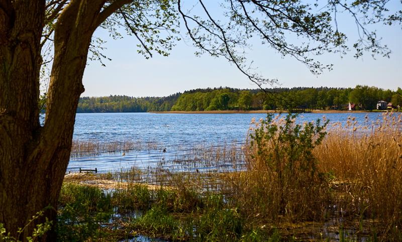 Duża działka budowlana nad jeziorem Lubie (10)