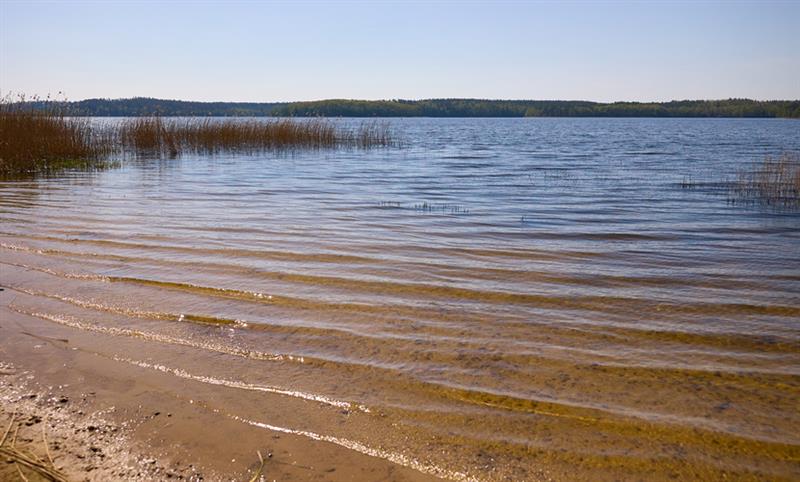 Duża działka budowlana nad jeziorem Lubie (11)