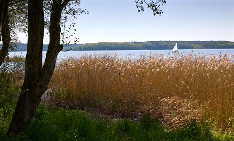 Duża działka budowlana nad jeziorem Lubie (12)