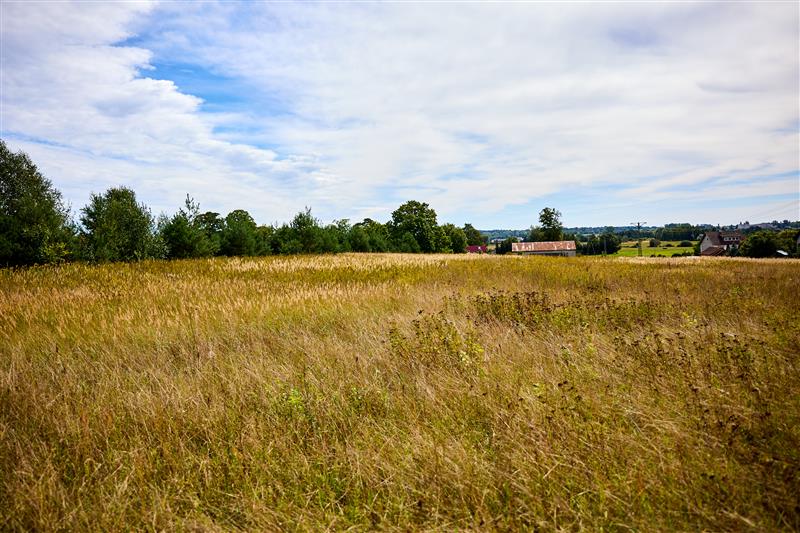 Działka budowlana - Drawsko Pomorskie  (13)