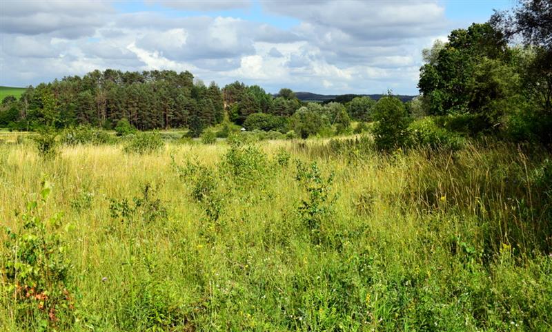 Działka budowlana - Lubieszewo  (13)