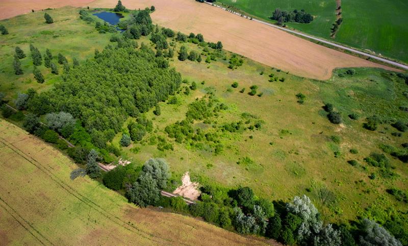 Działka budowlana - Lubieszewo  (5)