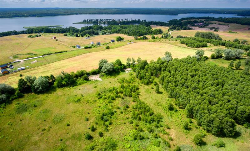 Działka budowlana - Lubieszewo  (8)