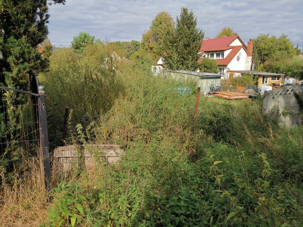 Ciekawa nieruchomość w Jezierzycach (10)