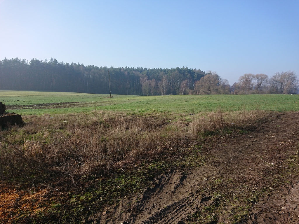 Przemysłowa,rolna, 32,700 m2, Raduń  (8)