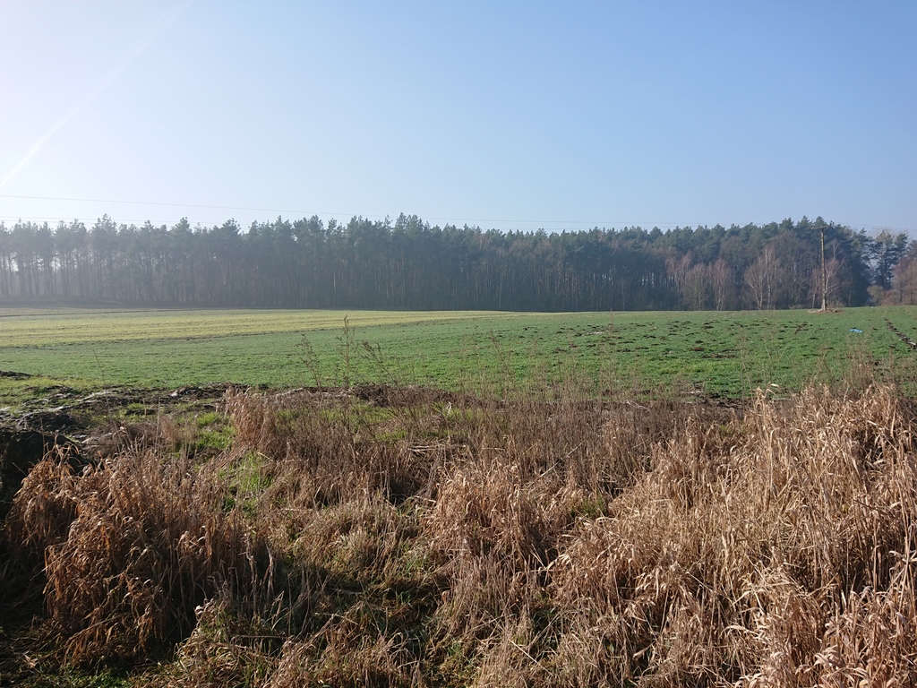 Obiekt, 100 m2, Raduń  (9)