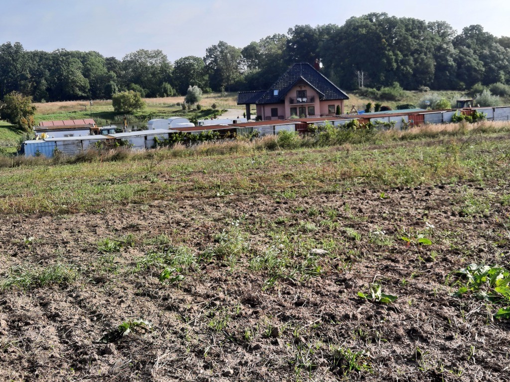 Kurów działka inwest. 2,8 ha, piękny widok na Odrę (10)