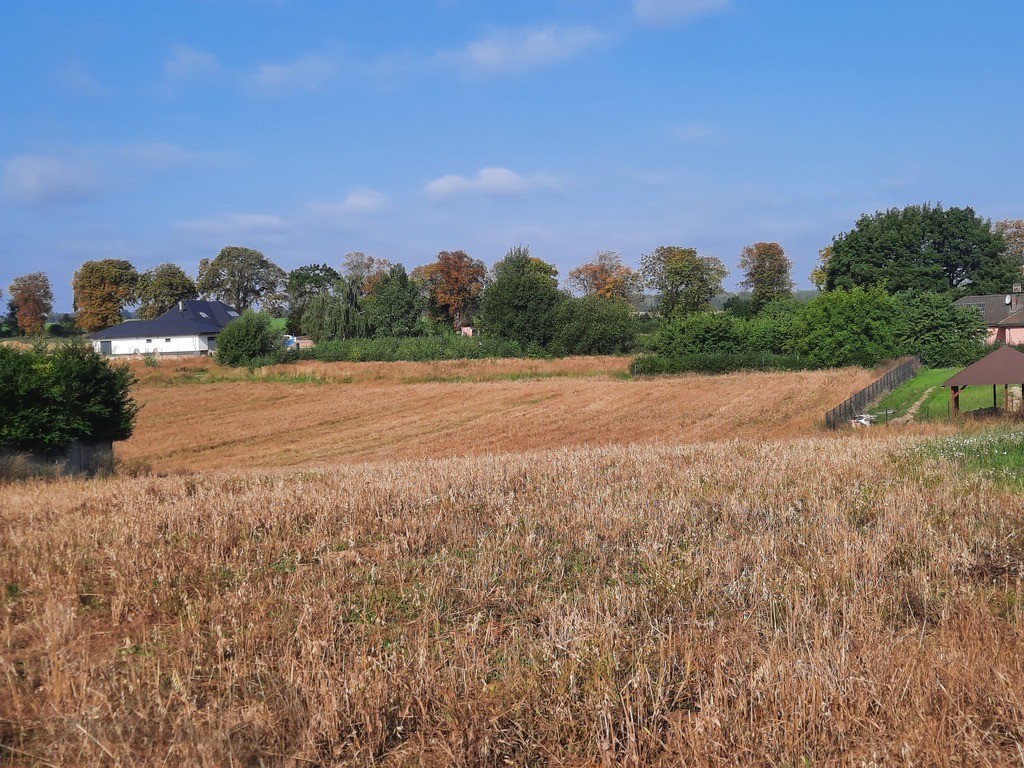 Kurów działka inwest. 2,8 ha, piękny widok na Odrę (13)