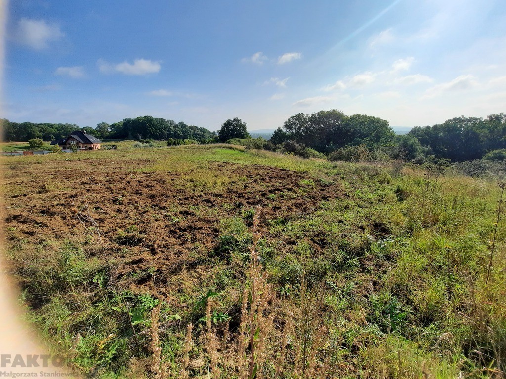 Kurów działka inwest. 2,8 ha, piękny widok na Odrę (18)