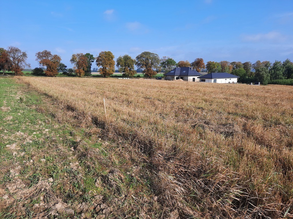 Kurów pięknie położona działka 2 ha, widok na Odrę (6)