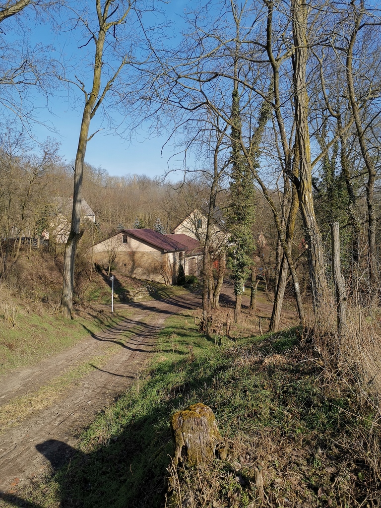 Dom z 3 bud. z widokiem na Odrę 60km od Berlina (13)