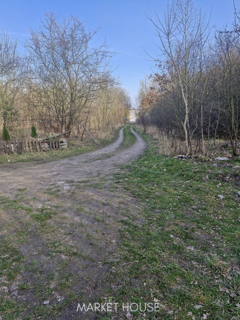 Działka z bogatym drzwostanem 25 min.od Szczecina (26)