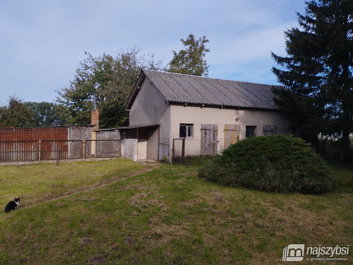 Dom wolnostojący do remontu, blisko Hossolandu! (4)