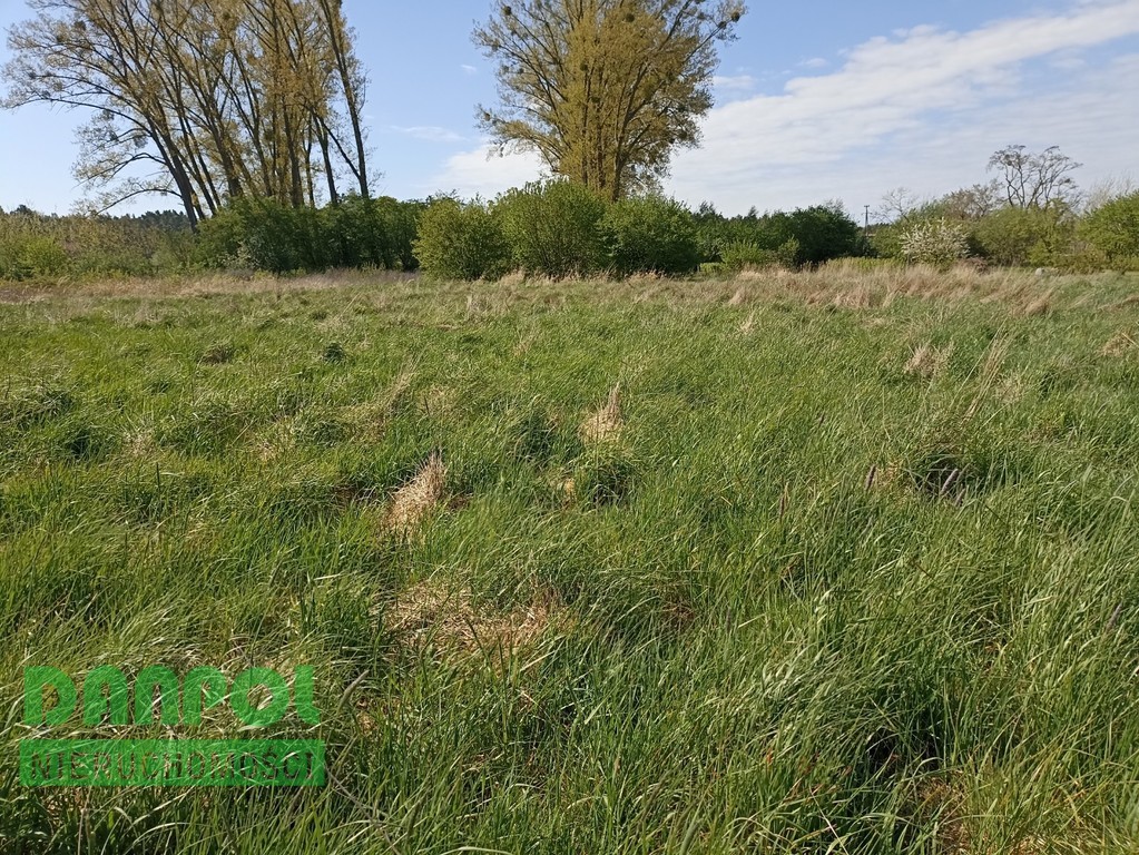 Brzózki, działka pod zabudowę,tylko 39,-zł/m2 (11)