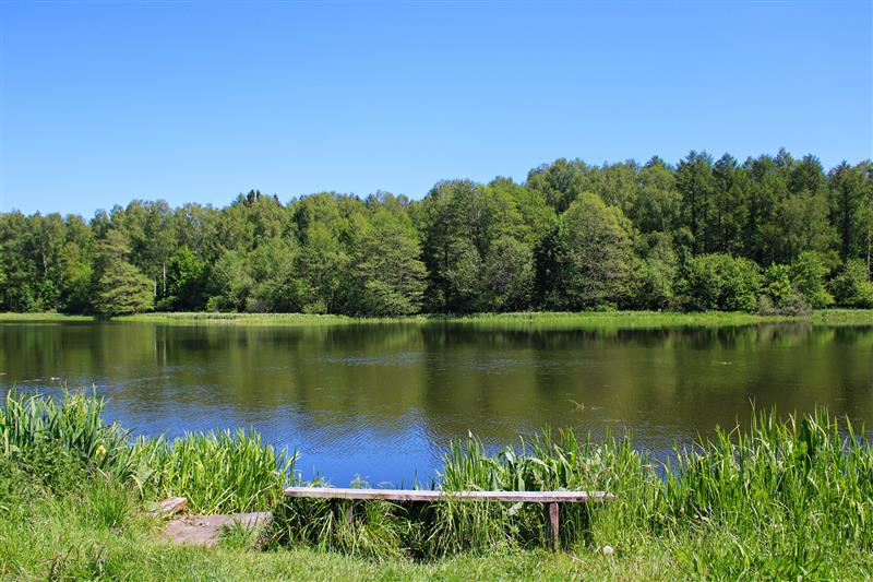 Działka budowlana - Rosnowo  (15)