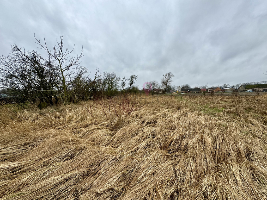 Nieborowo | 1801m2 | działka z WZ !! OBNIŻKA! (2)