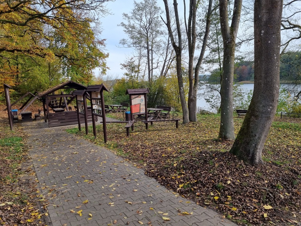 Barlinek-działka nad jeziorem (10)