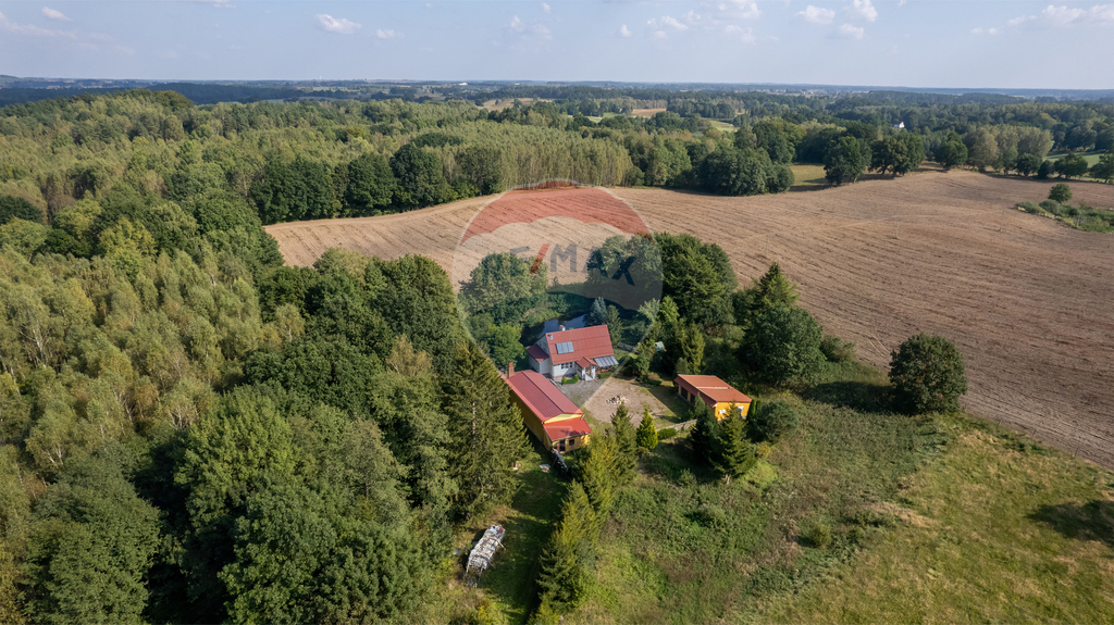 Dom blisko jeziora – przestrzeń, cisza, natura! (2)