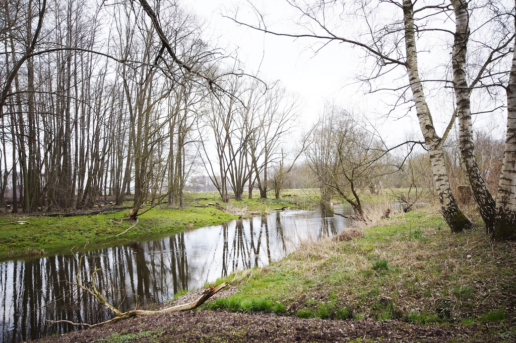 Dom nad rzeką w okolicy Stargardu (12)