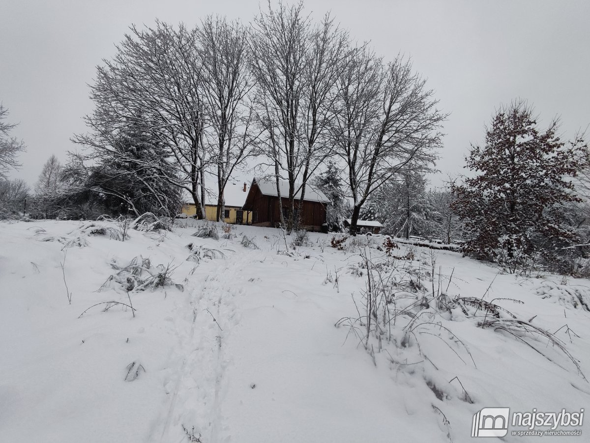 Czaplinek-obrzeża- dom przy lesie i jeziorze (18)