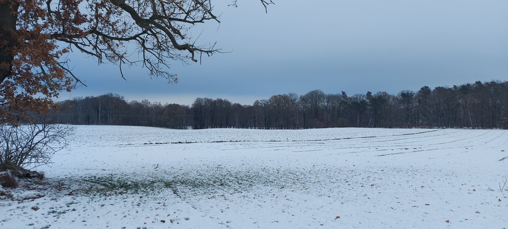 Działka przy Jeziorze Budzieszowskim 1,7 ha (2)